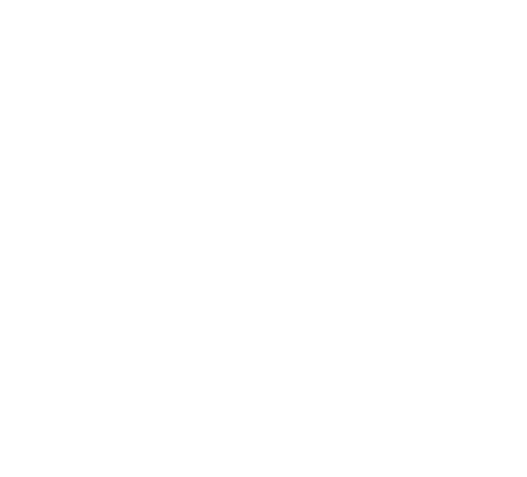 Rally Logo