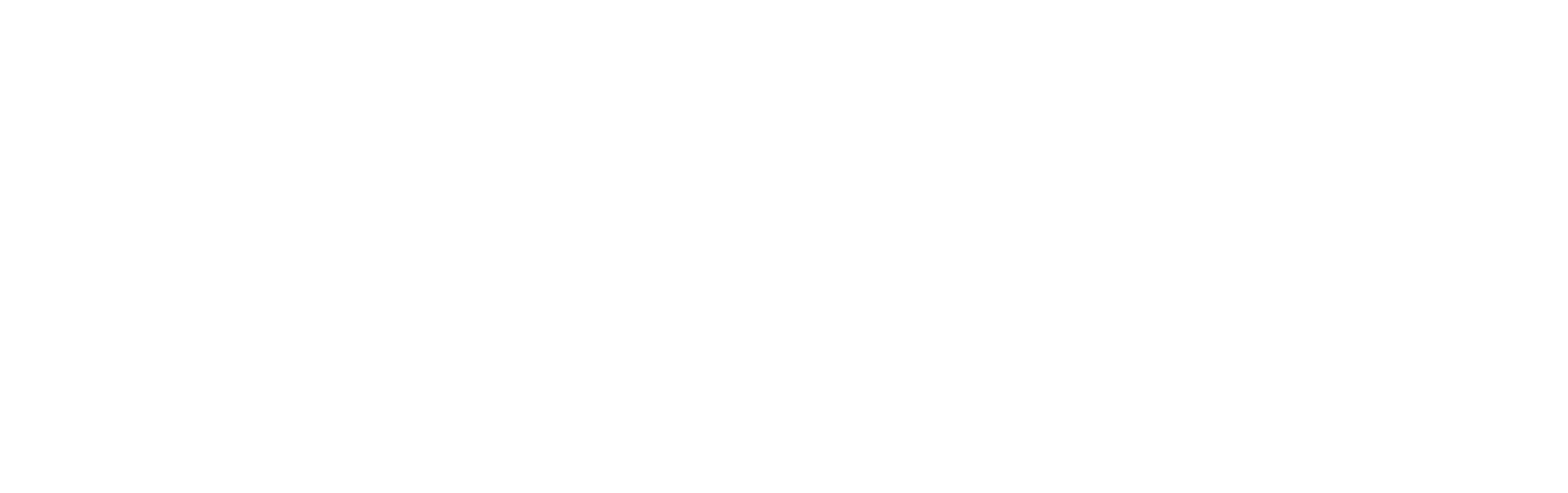 Rally Logo